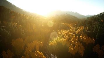 Vôo de vista aérea de drone sobre floresta de pinheiros na montanha ao pôr do sol