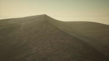 Aerial view on big sand dunes in Sahara desert at sunrise video