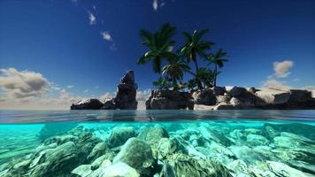 delad vy tvärsnitt av havsvatten och palmer på ön video