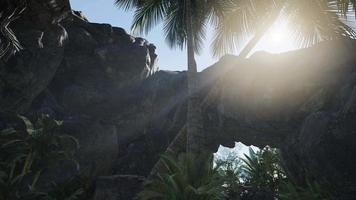 rayon de soleil dans la grotte avec des palmiers
