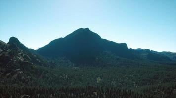 Panorama des Kegelwaldes in den Bergen video
