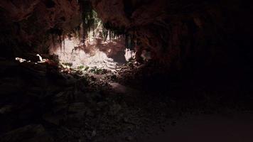 la vista dentro de la cueva de las hadas cubierta de plantas verdes que se iluminan solas video