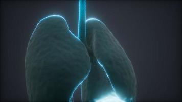 animação 3D de pulmões humanos