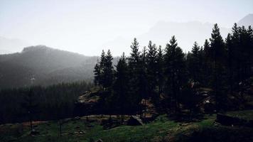 paisagem montanhosa enevoada e nebulosa com floresta de abetos video