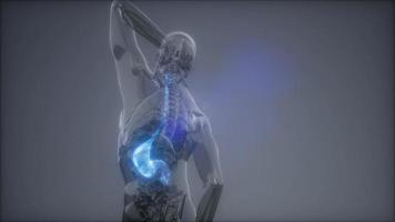Röntgenuntersuchung des menschlichen Magens video