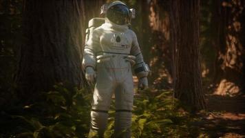 Einsamer Astronaut im dunklen Wald video