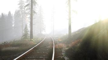 Leere Eisenbahn fährt morgens durch nebligen Wald video