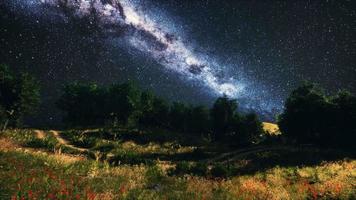 bosques de árboles verdes en el parque bajo el cielo estrellado de la noche video