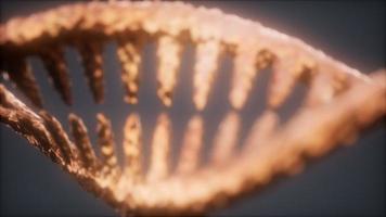Partículas brillantes ADN renderizado en 3D