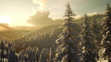 paisagem de inverno com pôr do sol de montanha nevoenta