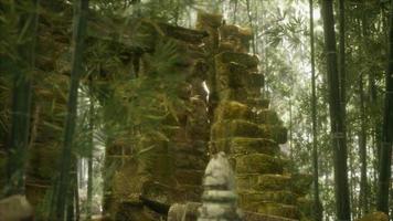 les ruines d'anciens bâtiments dans la forêt de bambous verts video