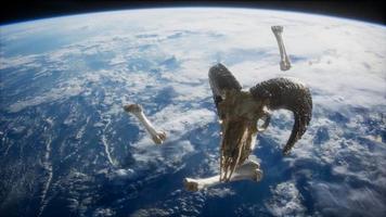 rams skull with bones at Earth orbit video