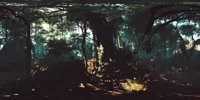 vr360 tiefe tropische Dschungel Asiens video