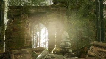 die Ruinen antiker Gebäude im grünen Bambuswald video