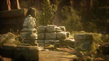 Hoary ruins of ancient city in pine forest video