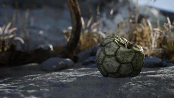 uma velha bola de futebol rasgada jogada encontra-se na areia da praia do mar video