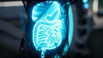 examen de anatomía del sistema digestivo humano en laboratorio video