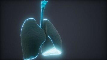 Animación 3d de pulmones humanos