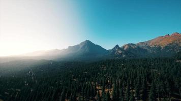 Landscape view of the mountain range with trees in the fall video