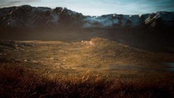 dry grass and snow covered mountains in Alaska video