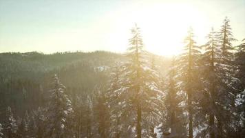 paysage de montagne par une journée ensoleillée d'hiver video