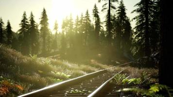 cores de outono ao longo de uma ferrovia ao pôr do sol