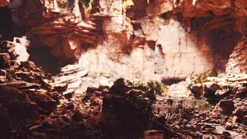 gran cueva rocosa de hadas con plantas verdes video