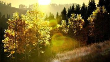 coucher de soleil lumineux dans les montagnes video