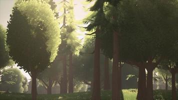 Cartoon Green Forest Landscape with Trees and flowers video