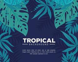 tropical background with branches and leaves plants vector