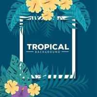 tropical background, hibiscus yellow and purple color, with branches and leaves plants vector