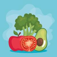 apple tomato avocado and broccoli vector design