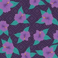 tropical background, hibiscus purple color, with tropical leaves vector