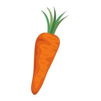 Isolated carrot vegetable vector design