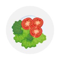 diseño vectorial de tomates y lechuga vector