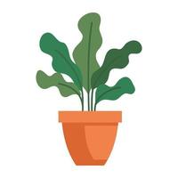 house pot plant on white background vector