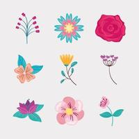 set with delicate flowers vector