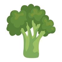 Isolated broccoli vegetable vector design