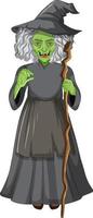 Wicked old witch character on white background vector