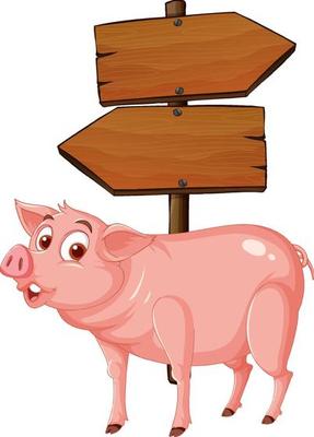 Isolated wooden signpost banner with pig