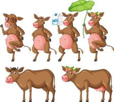 Set of different poses of milk cows cartoon characters vector