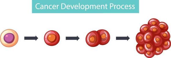 Process of cancer development infographic vector