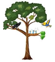Many birds on the tree vector
