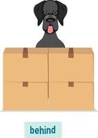 Preposition of place with cartoon dog and a box vector