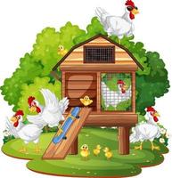 An isolated scene with a group of chickens in cartoon style vector