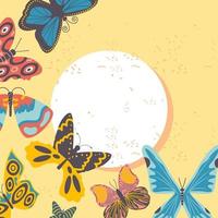 butterflies label design vector