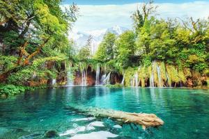 A photo of fishes swimming in a lake, taken in the national park Plitvice Croatia