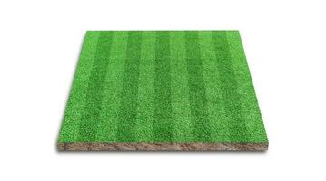 representación 3d raya de campo de césped de fútbol, campo de fútbol de hierba verde, aislado sobre fondo blanco. foto