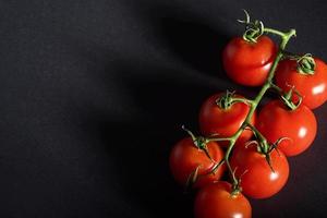 rama de tomates orgánicos rojos sobre un fondo negro. foto