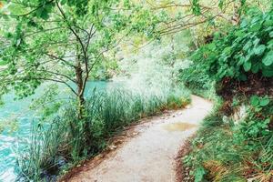 hermosa cascada en el bosque verde de verano. foto